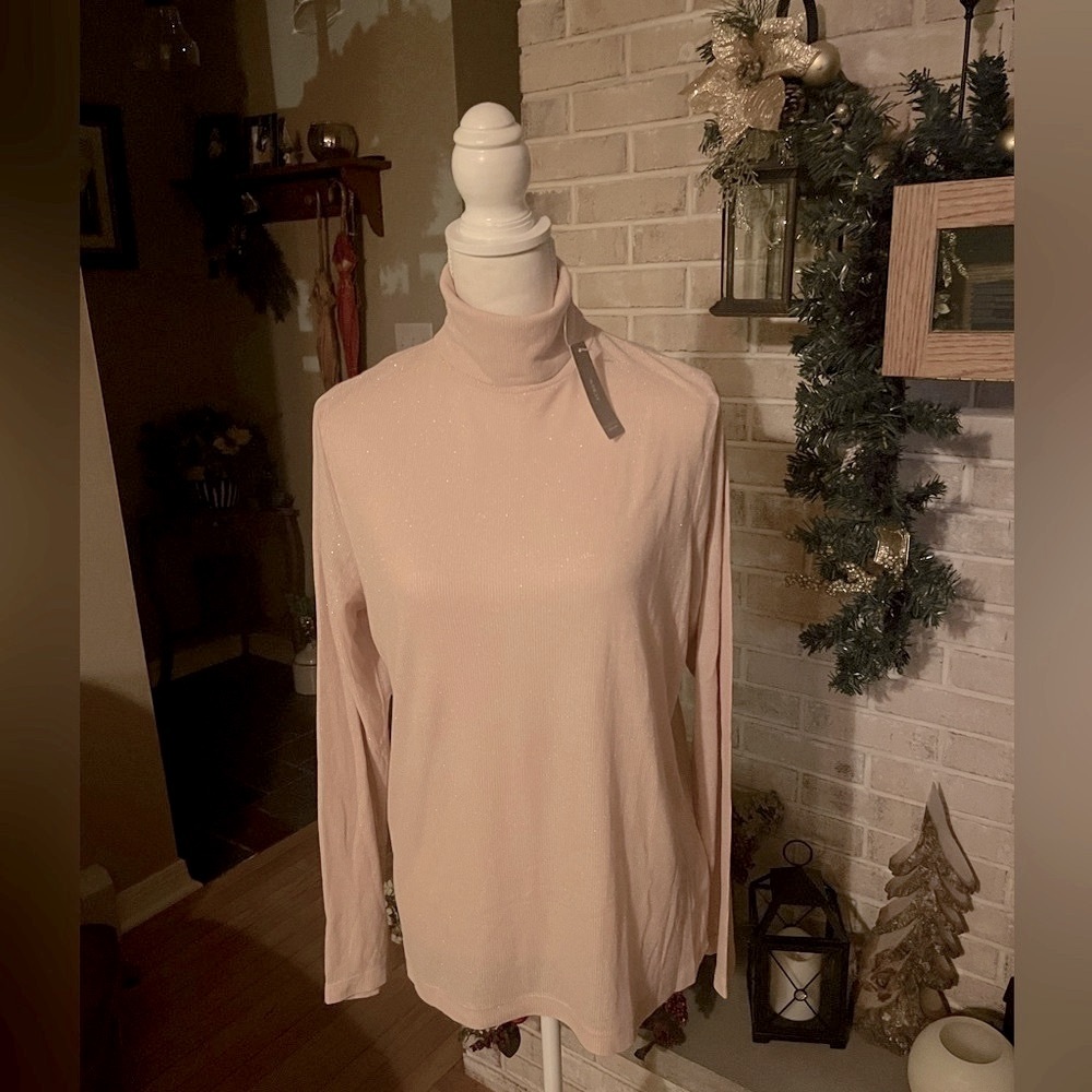 J.Crew Blush Metallic Turtleneck XXL